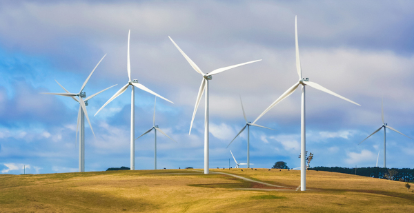 Wind turbines creating renewable energy on cattle farm (Photo credit: istock80)
